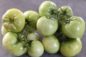 tomates vertes une pincee de cuisine